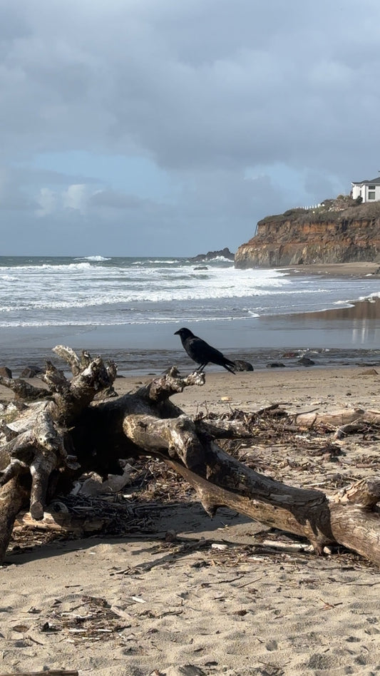 Where the River Met the Sea: A Glamour Ritual, A Rainbow, and Remembering the Goddess